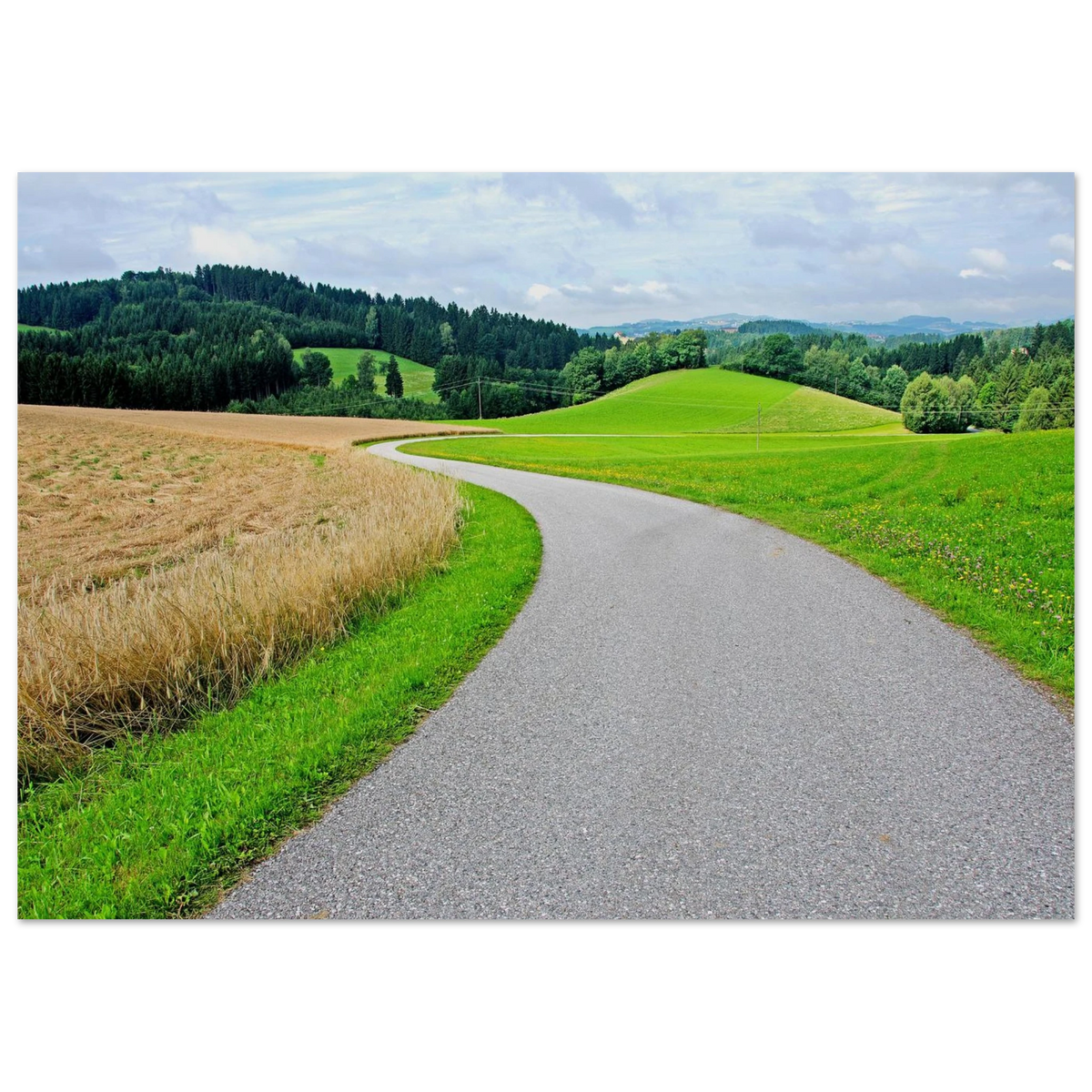 1ec6e5b7-599d-4ca1-bb34-338ba4e1f295