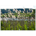 79f18d90-9afd-41cf-9a53-3d071f73b50c