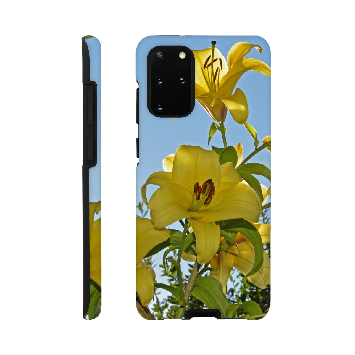 7ddf0536-db6c-4bf8-9fd4-4ab7e1d3dd88