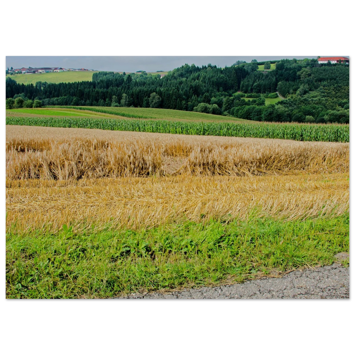 a05e124c-b88b-4694-8878-0a22b70864c4